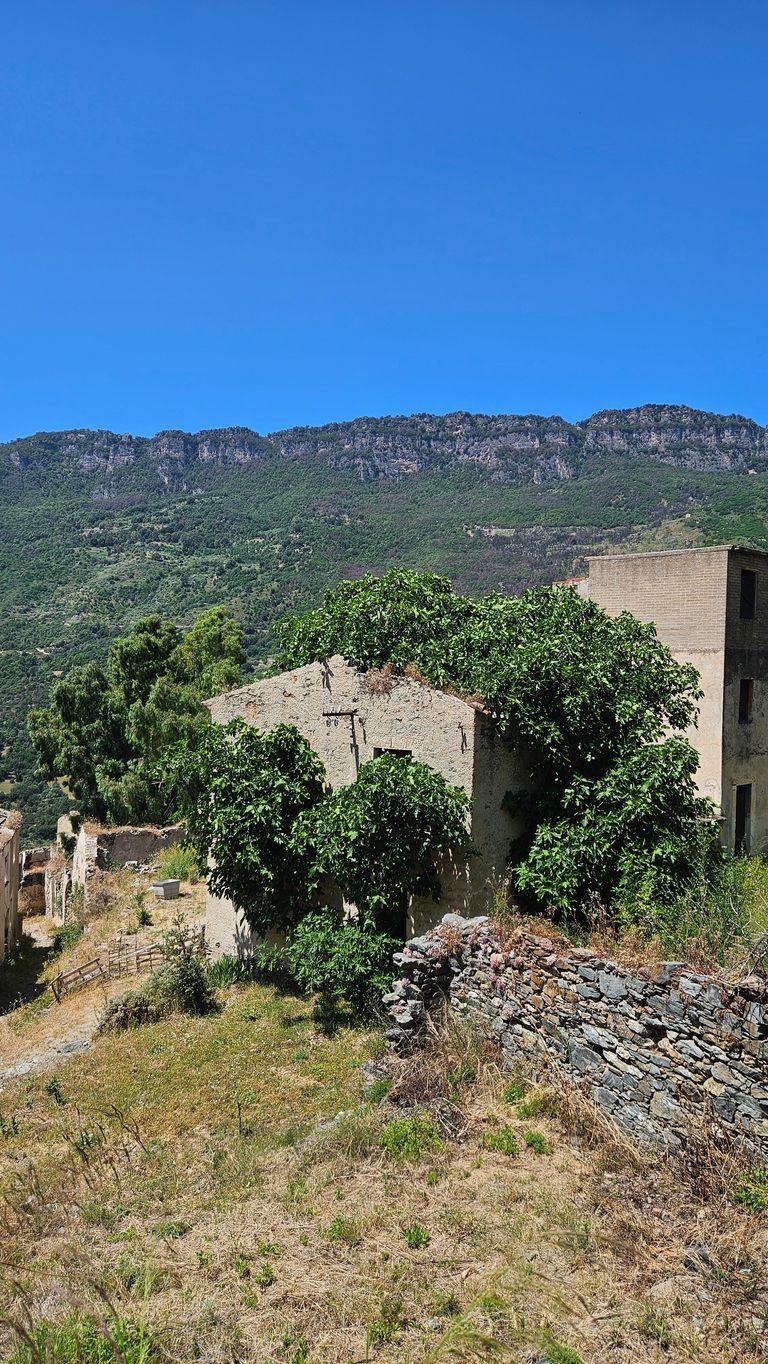 Altes Haus überwuchert von Büschen auf einem trockenen Gelände mit einer Steinmauer im Vordergrund und bewaldeten Bergen im Hintergrund unter klarem blauem Himmel.